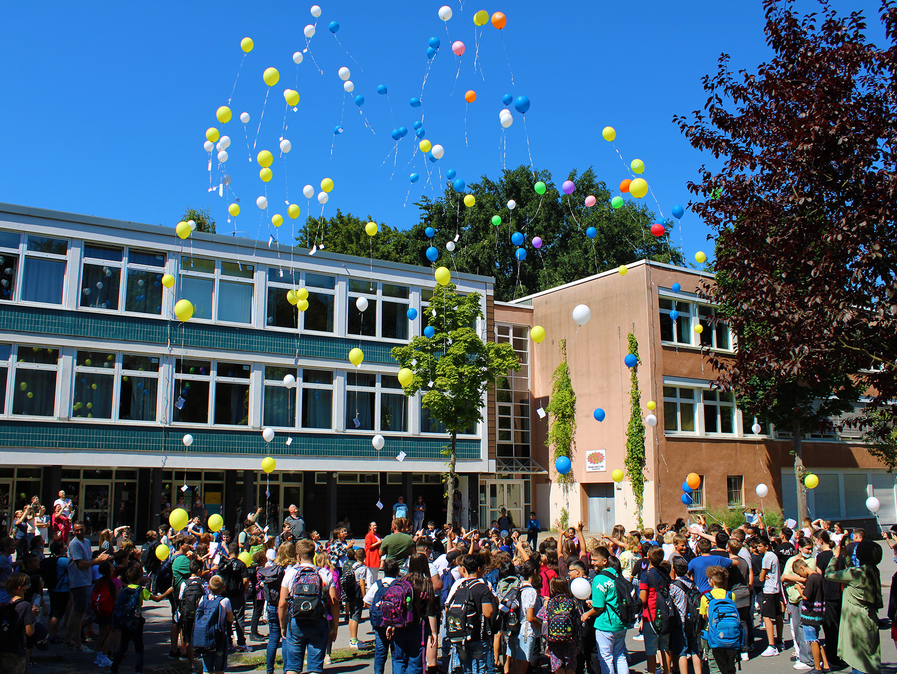sekundarschule-hassel-st-dtische-ganztagsschule-der-sekundarstufe-i